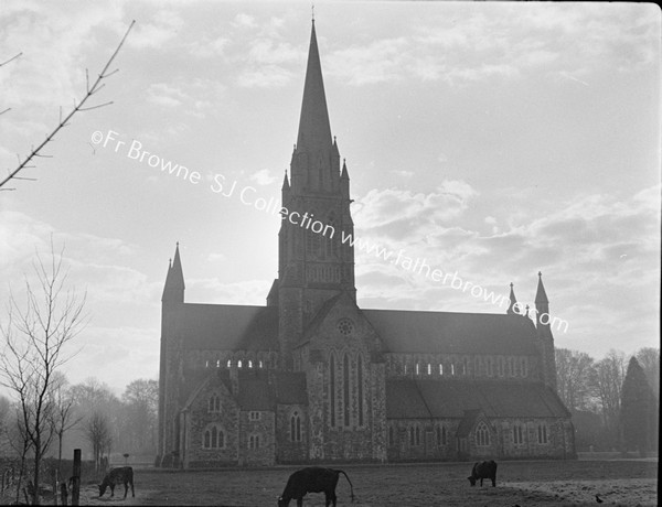 STUDIES OF CATHEDRAL AGAINST LIGHT ( FROM N.E.)